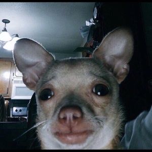 Meet your Posher, Melany